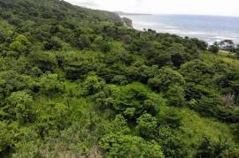 Development Land (Residential) for Sale in Long Bay