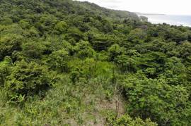 Development Land (Residential) for Sale in Long Bay