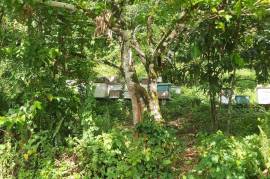 Development Land (Residential) for Sale in St. Margaret's Bay