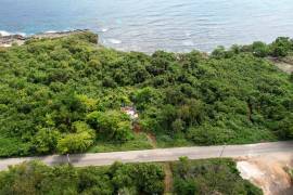 Development Land (Residential) for Sale in Rio Bueno