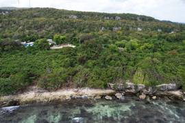 Development Land (Residential) for Sale in Rio Bueno