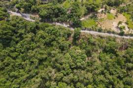 Development Land (Residential) for Sale in Kingston 6