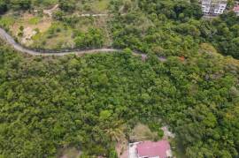 Development Land (Residential) for Sale in Kingston 6