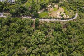 Development Land (Residential) for Sale in Kingston 6