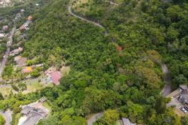 Development Land (Residential) for Sale in Kingston 6