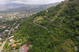 Development Land (Residential) for Sale in Kingston 6