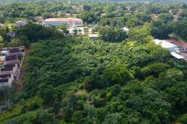 Development Land (Residential) for Sale in Ocho Rios