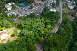 Development Land (Residential) for Sale in Ocho Rios