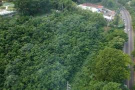 Development Land (Residential) for Sale in Ocho Rios