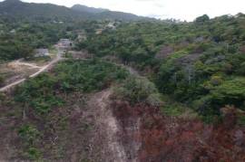 Development Land (Residential) for Sale in St. Ann's Bay