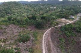 Development Land (Residential) for Sale in St. Ann's Bay