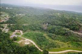 Development Land (Residential) for Sale in St. Ann's Bay