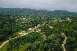 Development Land (Residential) for Sale in St. Ann's Bay