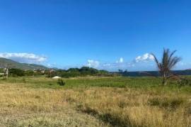 Development Land (Residential) for Sale in Kingston 2