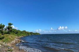 Development Land (Residential) for Sale in Kingston 2