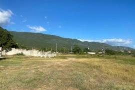 Development Land (Residential) for Sale in Kingston 2