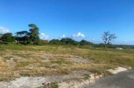 Development Land (Residential) for Sale in Kingston 2