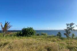 Development Land (Residential) for Sale in Kingston 2