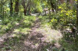 Development Land (Residential) for Sale in Montego Bay