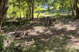 Development Land (Residential) for Sale in Montego Bay