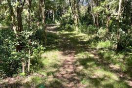 Development Land (Residential) for Sale in Montego Bay