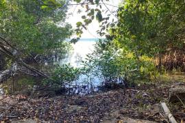 Development Land (Residential) for Sale in Green Island