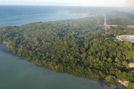 Development Land (Residential) for Sale in Green Island