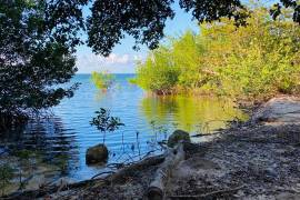 Development Land (Residential) for Sale in Green Island