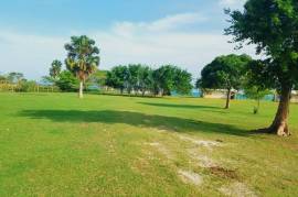 Development Land (Residential) for Sale in Black River