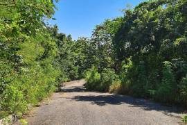 Development Land (Residential) for Sale in Red Hills