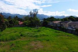 Development Land (Residential) for Sale in Kingston 10