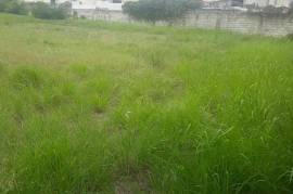 Development Land (Residential) for Sale in Kingston 10