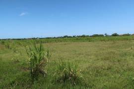 Development Land (Residential) for Sale in Savanna-La-Mar