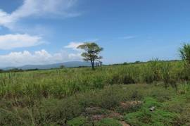 Development Land (Residential) for Sale in Savanna-La-Mar