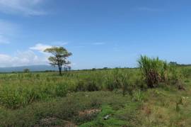 Development Land (Residential) for Sale in Savanna-La-Mar