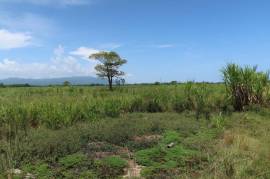 Development Land (Residential) for Sale in Savanna-La-Mar