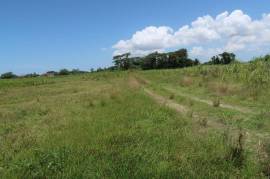 Development Land (Residential) for Sale in Savanna-La-Mar