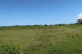 Development Land (Residential) for Sale in Savanna-La-Mar