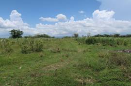 Development Land (Residential) for Sale in Savanna-La-Mar