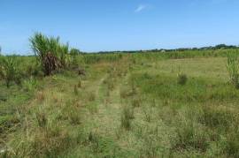 Development Land (Residential) for Sale in Savanna-La-Mar