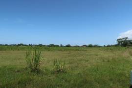 Development Land (Residential) for Sale in Savanna-La-Mar