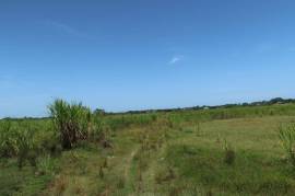 Development Land (Residential) for Sale in Savanna-La-Mar