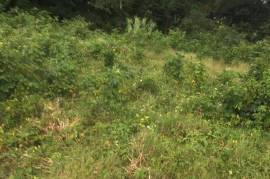 Development Land (Residential) for Sale in Newport