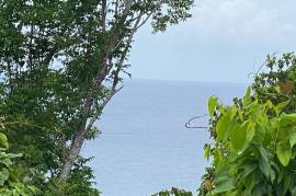 Development Land (Residential) for Sale in Oracabessa