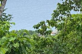 Development Land (Residential) for Sale in Oracabessa