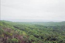 Development Land (Residential) for Sale in St. Ann's Bay