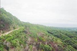 Development Land (Residential) for Sale in St. Ann's Bay