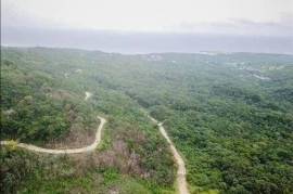 Development Land (Residential) for Sale in St. Ann's Bay