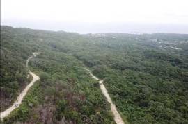 Development Land (Residential) for Sale in St. Ann's Bay