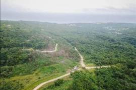 Development Land (Residential) for Sale in St. Ann's Bay